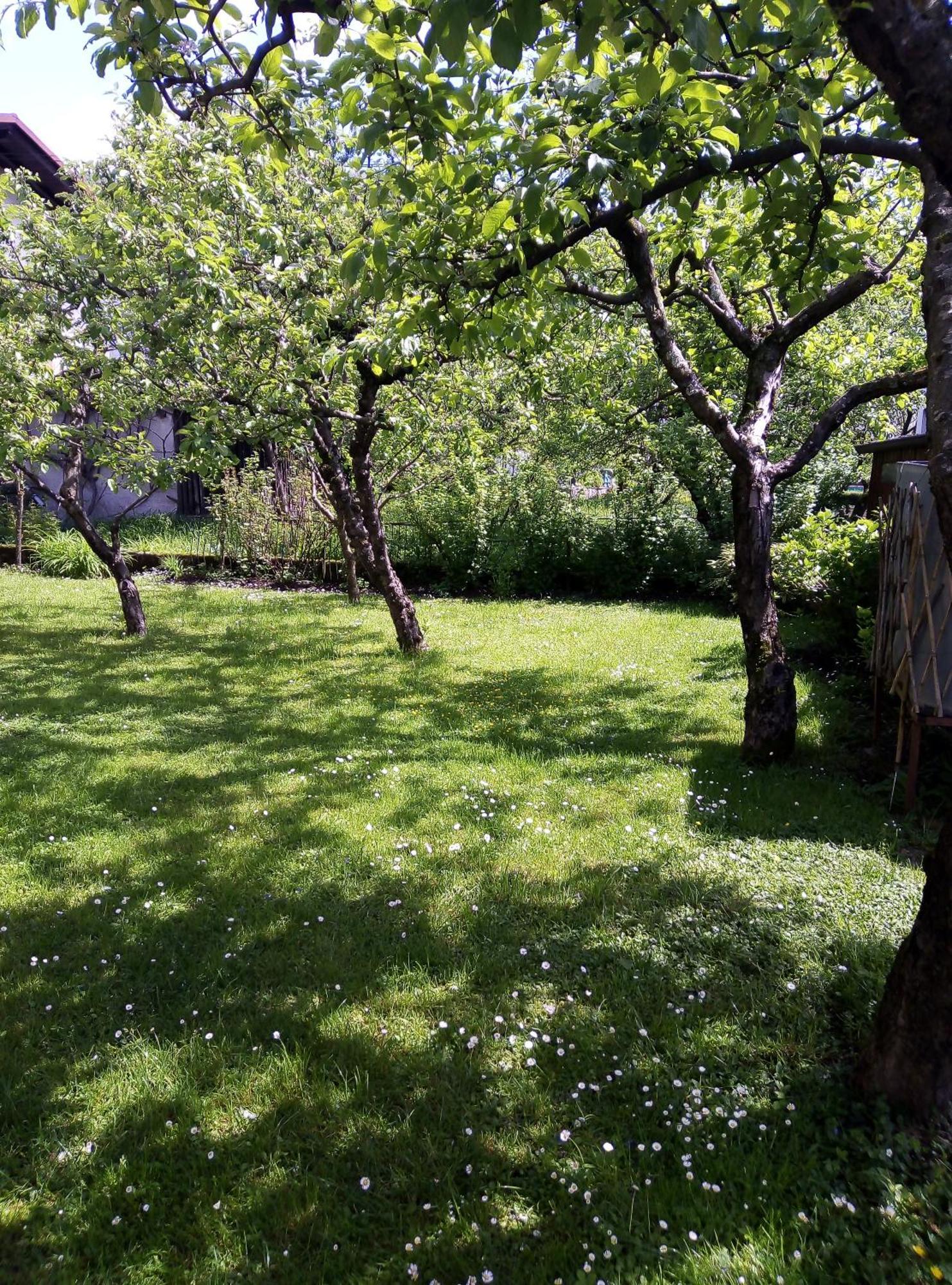 Apartma Rutar Tolmin Zewnętrze zdjęcie